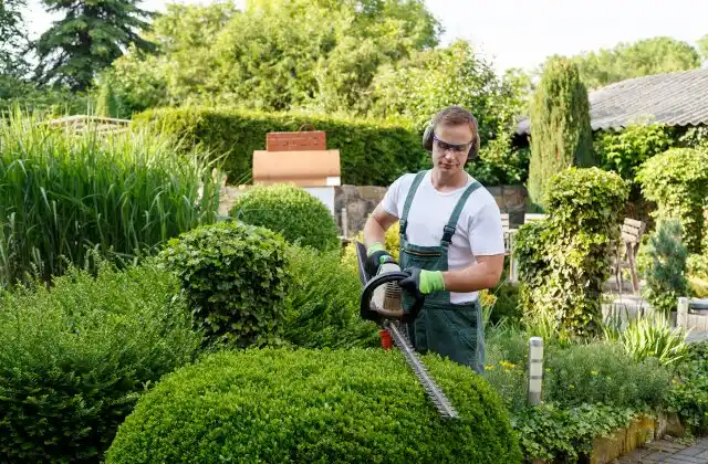 landscaping services El Segundo